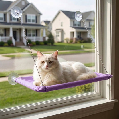 Cat bed