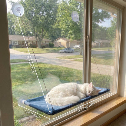 Cat bed